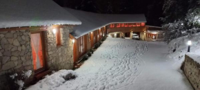 Apart Hotel Altos de Antilhue